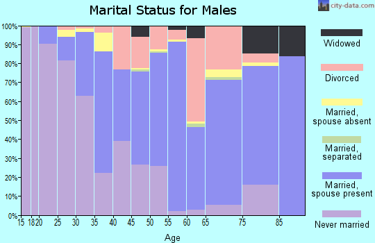 Clear Creek County marital status for males