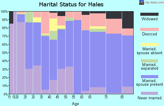 Berrien County marital status for males