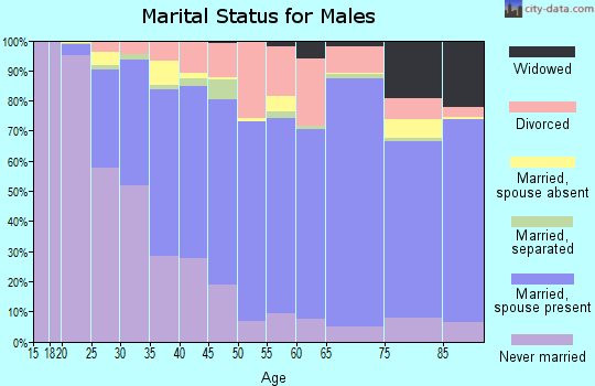 Dorchester County marital status for males