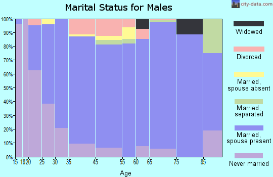 Boundary County marital status for males
