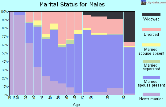 Christian County marital status for males
