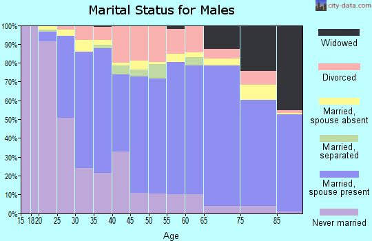 Buena Vista County marital status for males