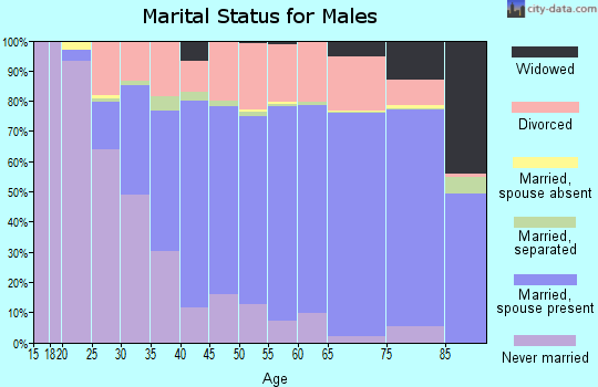 Piscataquis County marital status for males