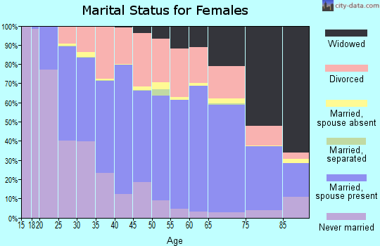 Somerset County marital status for females