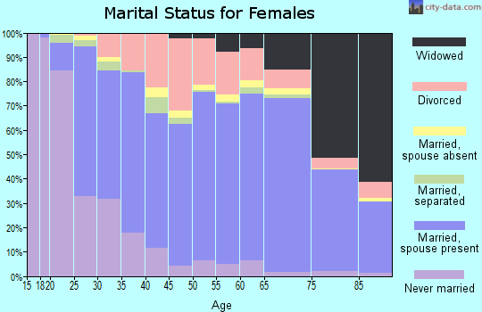 Cheboygan County marital status for females