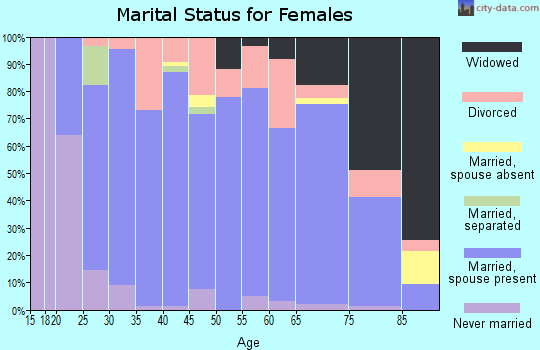 Ellis County marital status for females
