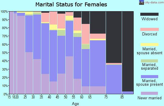 Bethel Census Area marital status for females
