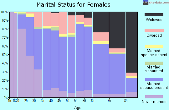 Huron County marital status for females