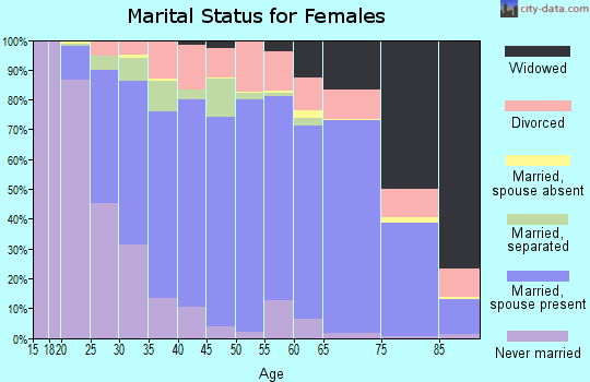 Snyder County marital status for females