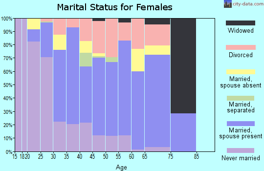 Summit County marital status for females