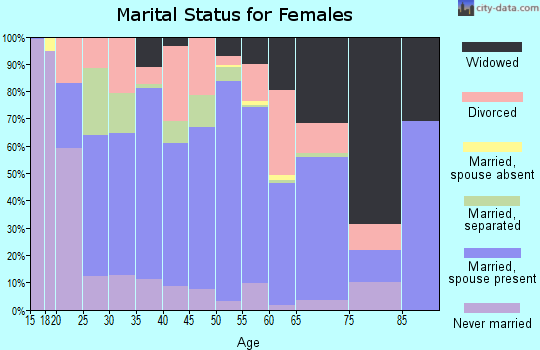 Magoffin County marital status for females