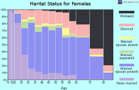 Hunt County marital status for females