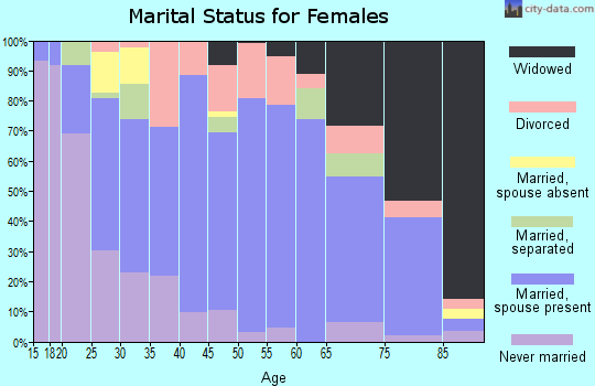 Parmer County marital status for females