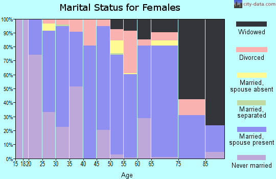 Brule County marital status for females