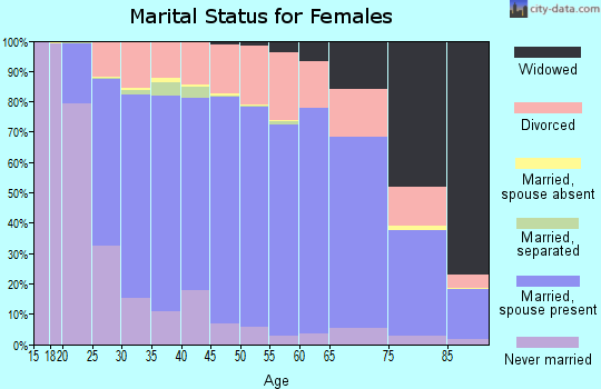 Chippewa County marital status for females