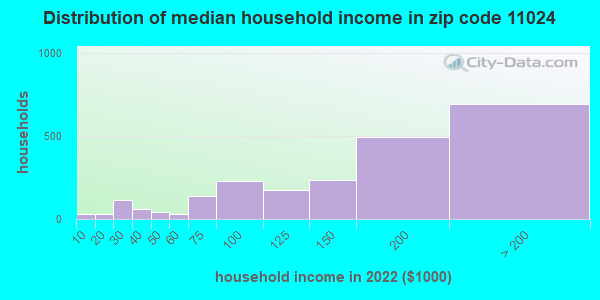 Zip code 11024 household income distribution in 2009