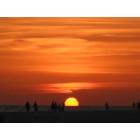Sarasota: : siesta beach sunset