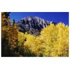 Crested Butte: : Gothic Mountain in the fall