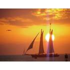 Key West: : Sunset from One Duval Street Pier