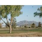 Deming: : Mimbres Golf Club and Florida Mtns.