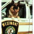 Westmont: Retired Westmont Police Dog