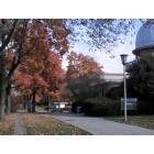 Urbana: : University of Illinois Observatory