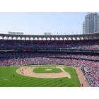 St. Louis: : Busch Stadium Cardinal Baseball