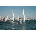 Annapolis: Sailboat Race - in front of Naval Academy