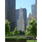 Chicago: : Wrigley Building