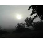 morning tule fog in Delhi