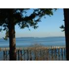 Indianola: : view looking east from local beachfrom cabin