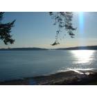 Indianola: : view looking southeast from local beachfrom cabin
