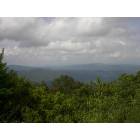 Roan Mountain: View from the top of Roan Mountain, Tennessee