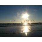New Smyrna Beach: sunrise with gulls flying