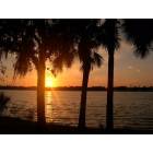 Tampa: Tampa sunset