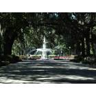 Savannah: : Forsyth Park