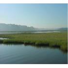 Smithfield: Pagan River - Misty Morning