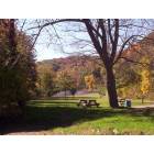 Beaver Falls: : My Beloved Brady's Run park in the Fall 2004