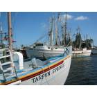 Tarpon Springs: Boats docked in downtown