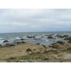 Monterey: : Pacific Grove Coast off of Asilomar on a beautiful foggy day!