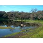 Fairfield: : Fairfield CA Pond at Rockville Park