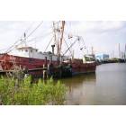 Port Arthur: : shrimp boats in port