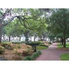 Savannah: : Savannah's many small parks