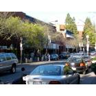Santa Rosa: : This is a picture of beautiful downtown Santa Rosa.