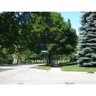 Ann Arbor: : tree-lined streets