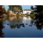 Virginia Beach: : Neighborhood duck pond, Glenwood, Virginia Beach