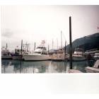 Seward: : Seward Marina....fishing boats (taken in July) while on vacation