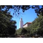 Austin: : University of Texas Tower