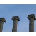 Columbia: : the columns