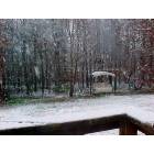 Tatum: Betts Backyard-Snow in Tatum - Yes it Does Snow in Texas